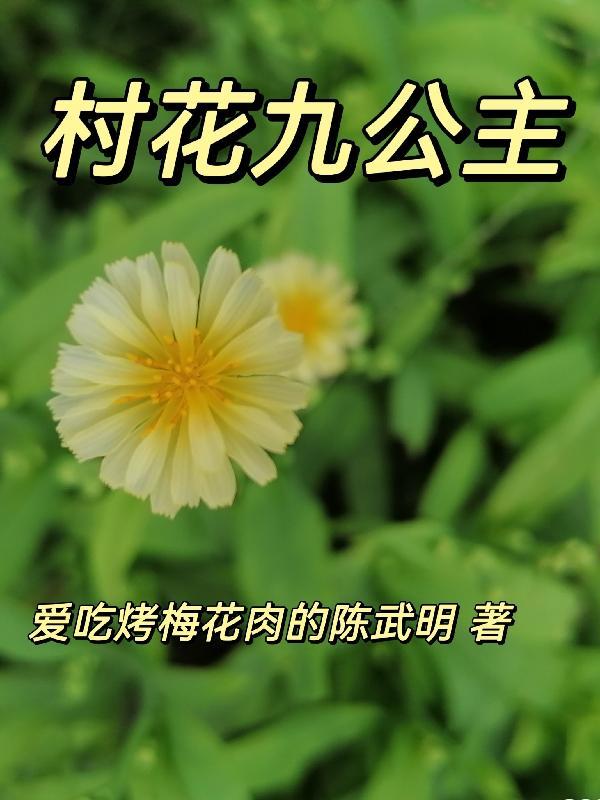 宁宸和九公主的