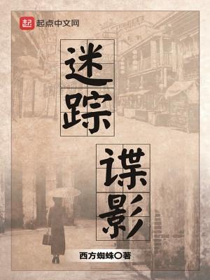 迷踪谍影全集免费